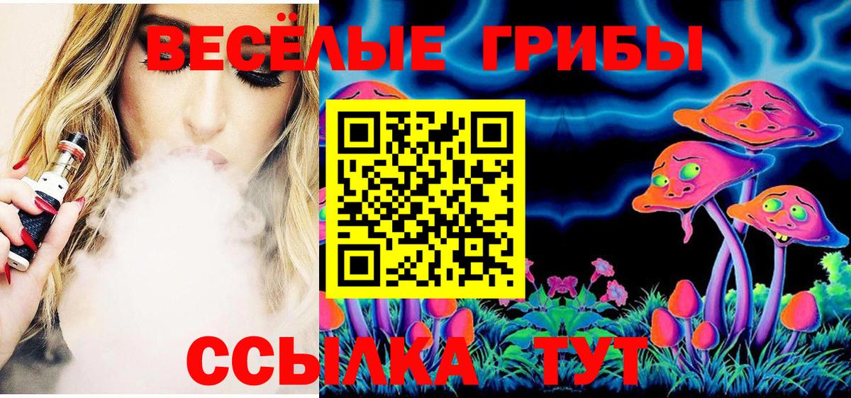 Галлюциногенные грибы Psilocybine cubensis  Вход с VPN  Псилоцибиновые грибы MAGIC MUSHROOMS  Шумерля 